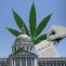 Ron Paul and Barney Frank To End Marijuana Prohibition